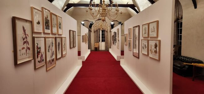 Partitions partition art gallery corridor red carpet 01